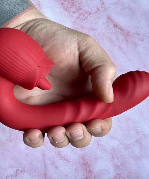 RECENZIA: Multifunkčný vibrátor BASIC X Roses – Kvetina, ktorá nikdy nezvädne?